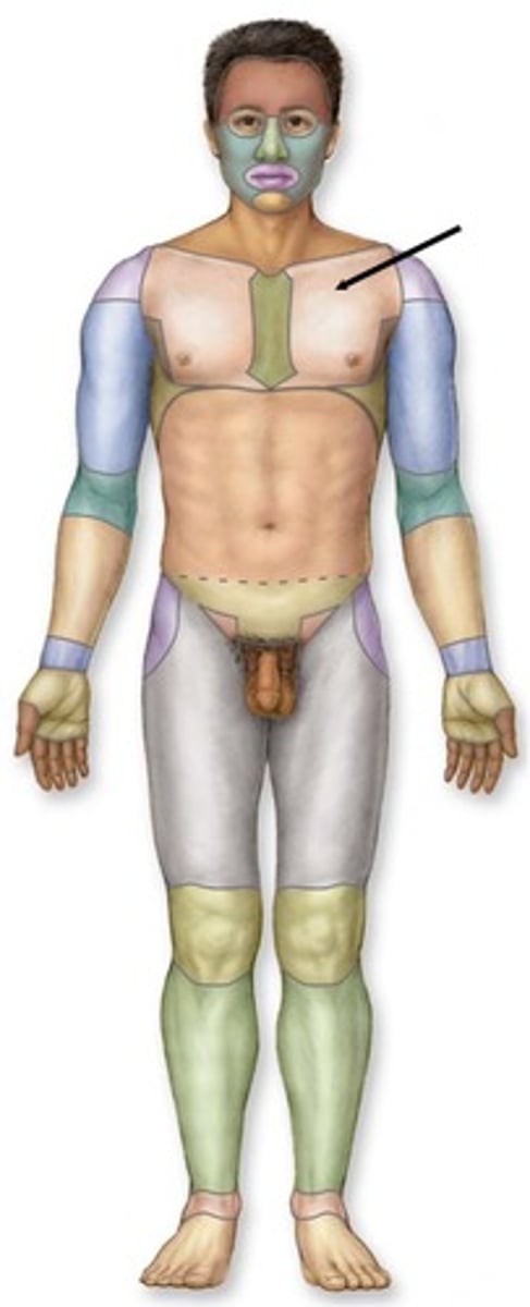 knowt flashcard image