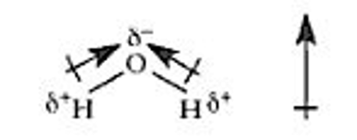 <p>created by equal but opposite charges that are separated by a short distance</p>