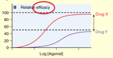 <p>which drug has a higher activity </p>