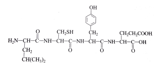 <p>Based on the structure above, which of the following is true?</p>