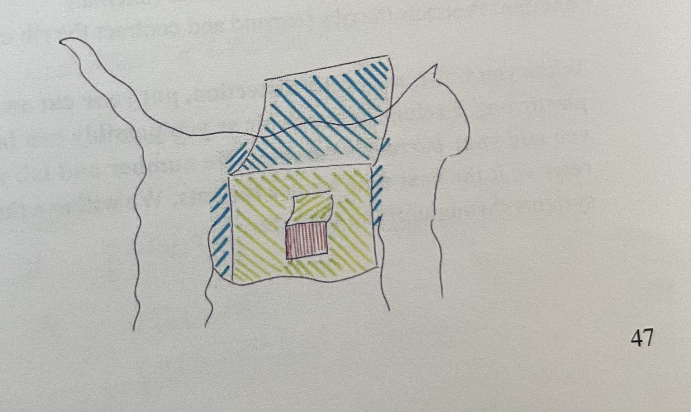 <p>red, pay attention to fiber direction to distinguish this muscle on the practical</p>