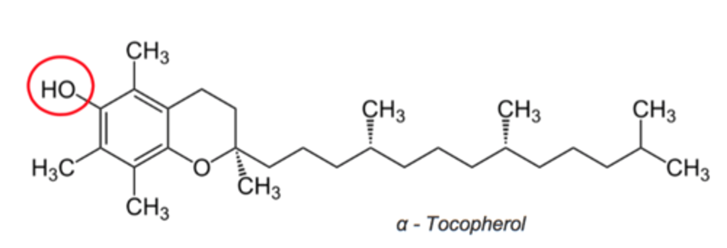 <p>Alpha-tocopherol (Vitamin E) or Preformed Vitamin A (Teratogenic)</p>