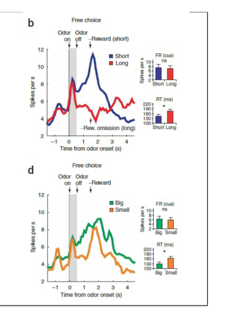 <p>in the free choice task, does the animal appear to use the cue to signal to guide behaivor?</p>