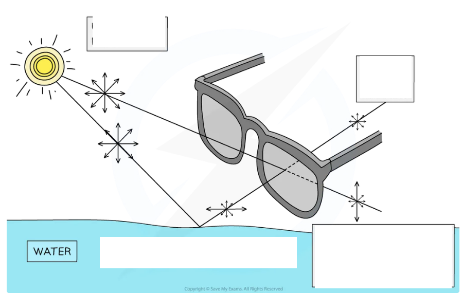 <p>Polaroid sunglasses: light reflected from reflective surface undergo?</p><p>surface is horizontal, proportion of the reflected light will oscillate ______ in the ________ plane than the _______ plane</p><p>What is polarised sunglasses useful for and what is useful for?</p>