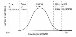 The area between customers' expectations regarding their desired service and the minimum level of acceptable service—that is, the difference between what the customer really wants and what he or she will accept before going elsewhere.