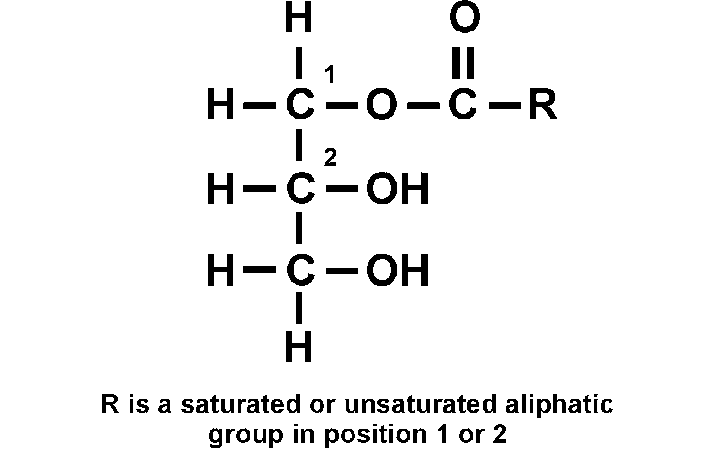 <p>lipid ester</p><p>has a fatty acid chain at one alcohol group of the glycerol</p>