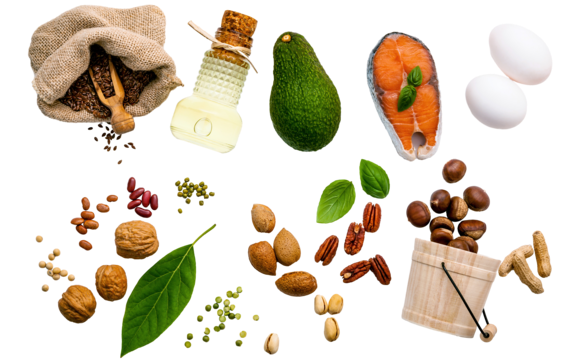 <p>(Primary fuel source for the body) Diverse group of organic substances that are largely insoluble in water. Triglycerides are the most common lipid in foods.</p><ul><li><p>(e.g.) Vegetable oils, butter, dairy, fat in animal products</p></li></ul><p></p>