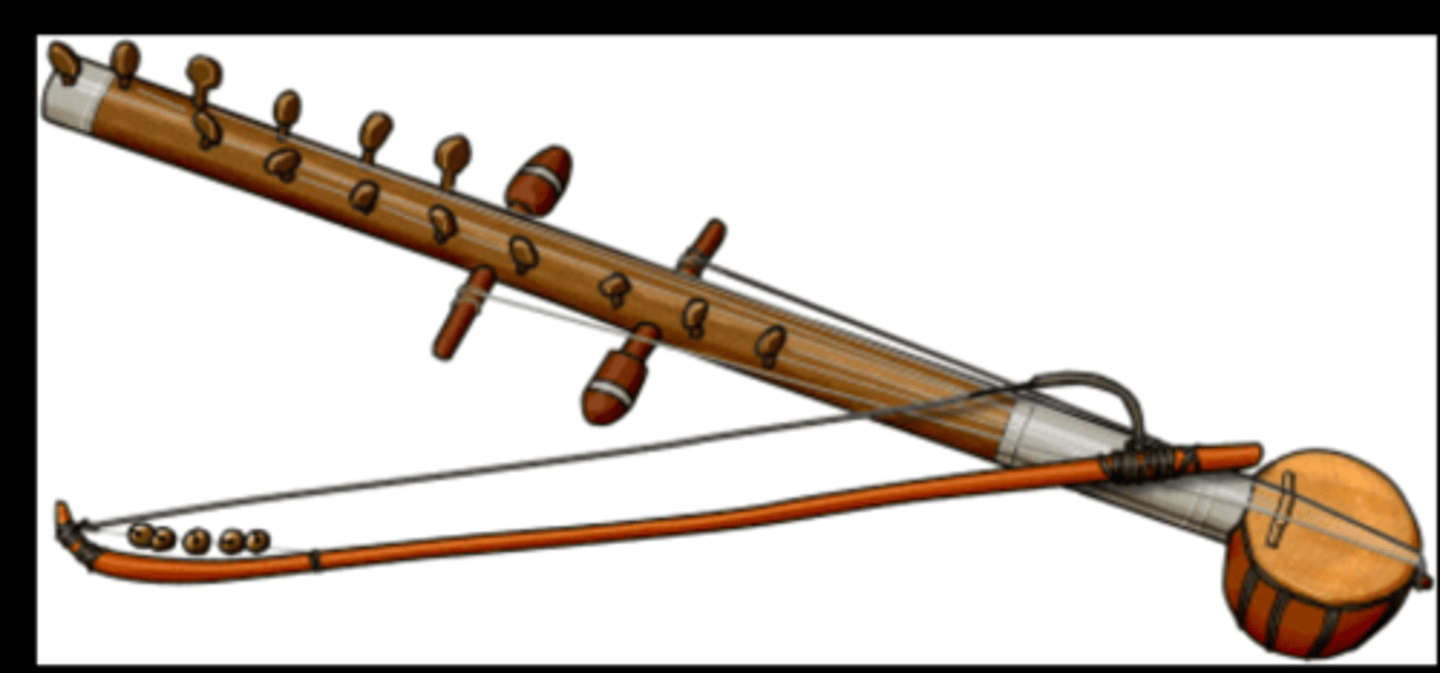 <p>Single-pitched string instrument used in bhangra.</p>