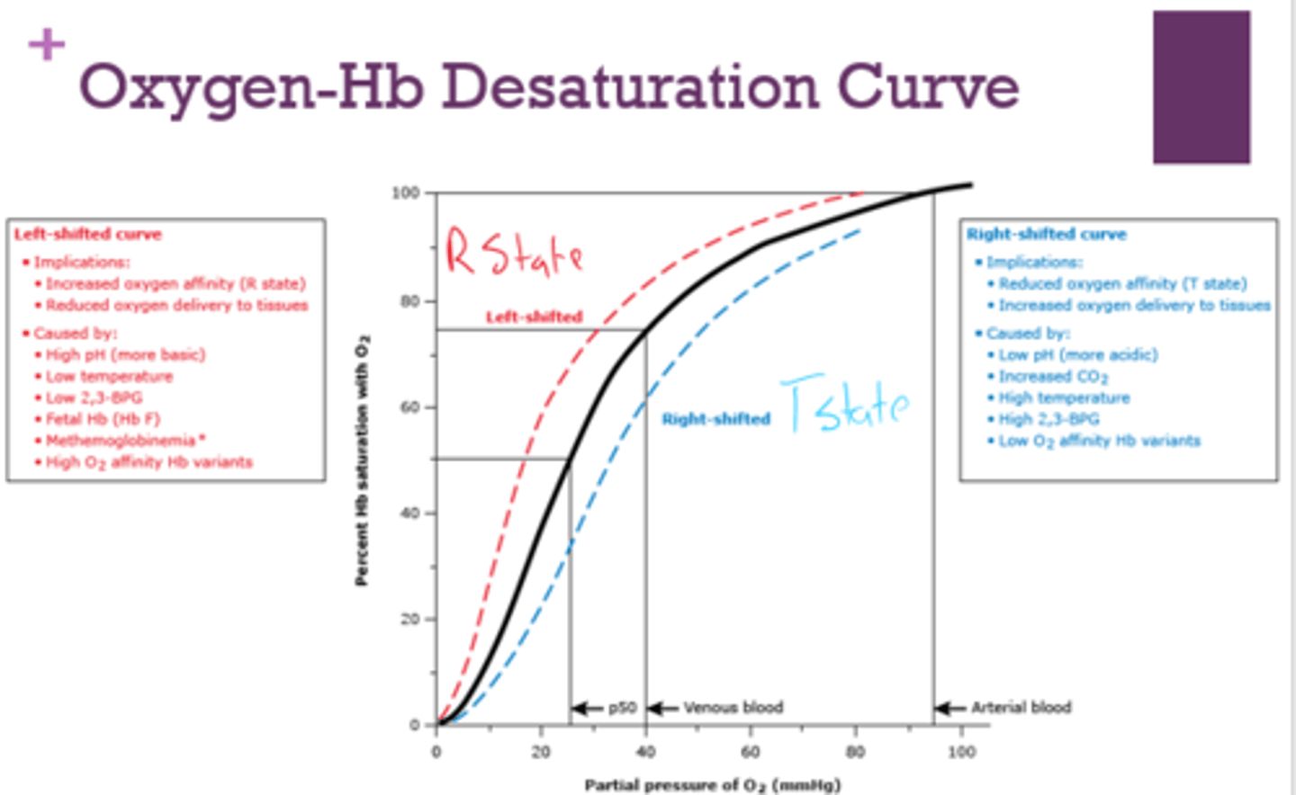 <p>- reduced O2 affinity ( T state)</p><p>- increased oxygen delivery to tissues</p>