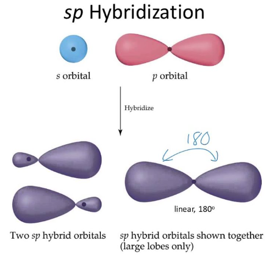 <p>linear</p>