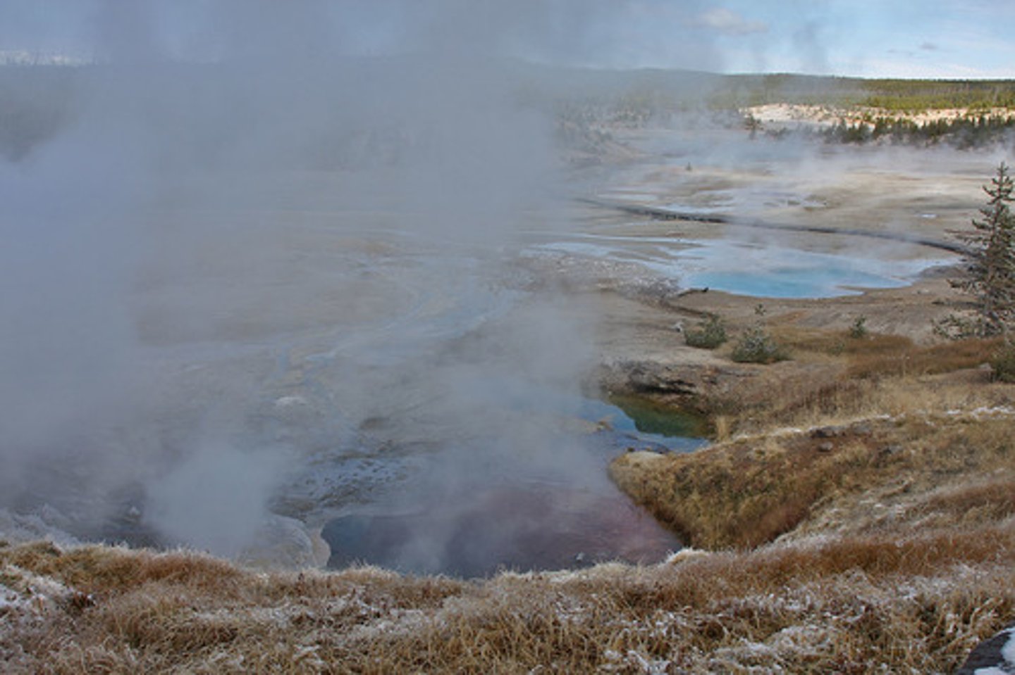 <p>archaea that live in extreme environments, uninhabitable for most organisms (hot or cold, high salt)</p>