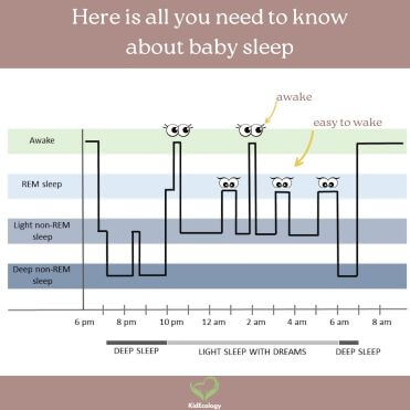 <p><span><strong><span>Sleep Stages</span></strong></span></p>