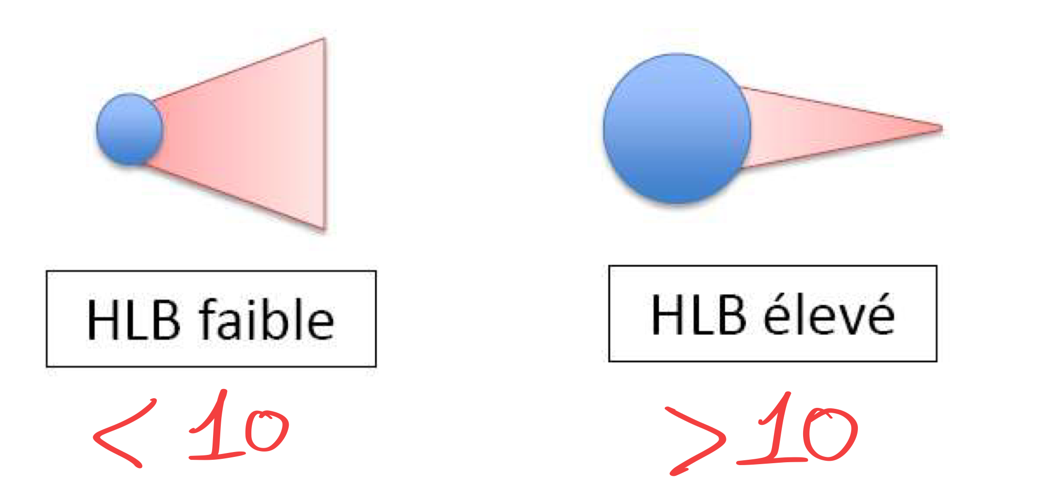 <p><strong>HLB : Hydrophile Lipophile Balance</strong></p><p>→ HLB représente la <strong>tendance hydrophile ou lipophile d’un agent de surface</strong>. Plus le HLB est haut, plus le tensioactifs a des propriétés hydrophiles. </p><ul><li><p>Echelle de 1 à 40 illustrant le « poids » du groupement hydrophile</p></li><li><p>Equilibré si = 10</p></li></ul><p></p>