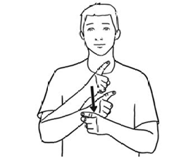 term image