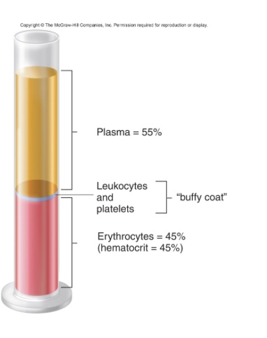 <ul><li><p>mostly water; ions like interstitial fluid</p></li><li><p>gases, nutrients, wastes</p></li><li><p>hormones and messenger molecules&nbsp;</p></li><li><p>proteins 7% (4.5 albumin, 2.5 globulins, 0.3 fibrinogen)</p></li><li><p>plasma vs serum = absence of clotting factors</p></li></ul><p></p>