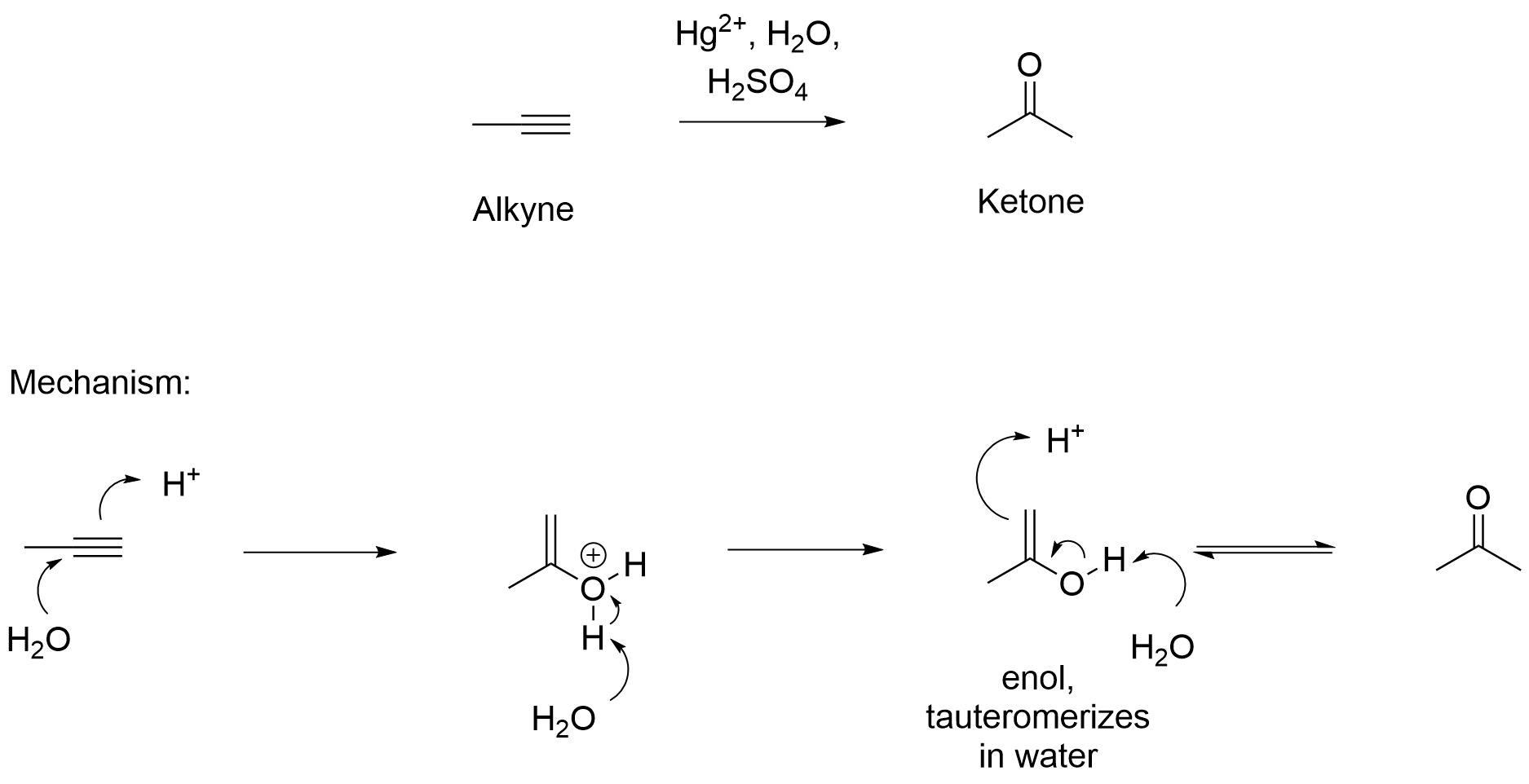 <p>The triple bond is broken into a double bond, which forms a ketone. Markovnikov addition. </p>