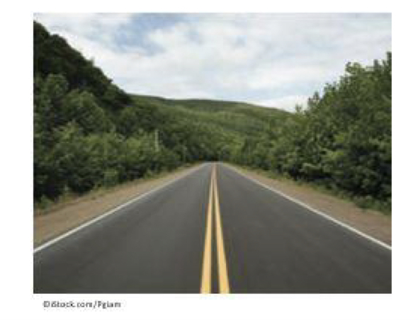 <p>parallel lines seem to converge in the distance</p>