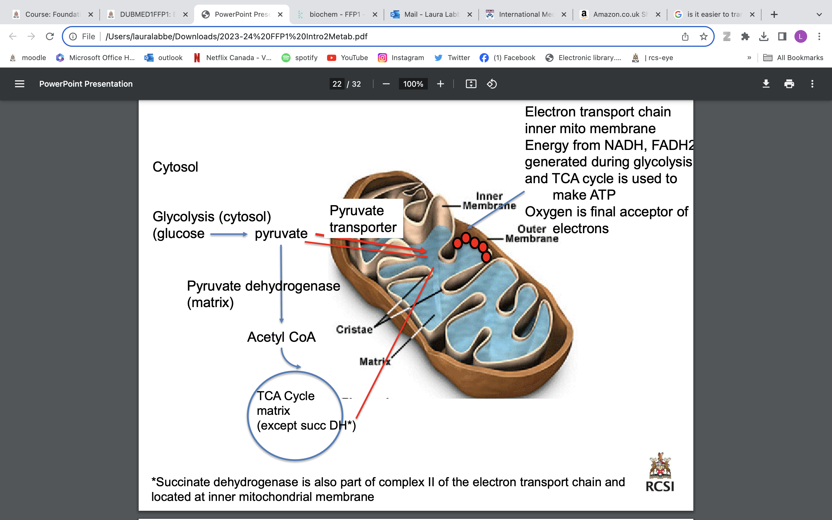 <ul><li><p>Electron transport chain inner mito membrane Energy from NADH, FADH2generated during glycolysis and TCA cycle is used to make ATP </p></li><li><p>Oxygen is final acceptor of electrons</p></li></ul>