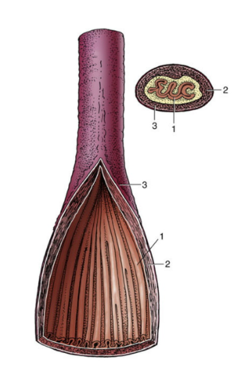 <p>#2?</p>