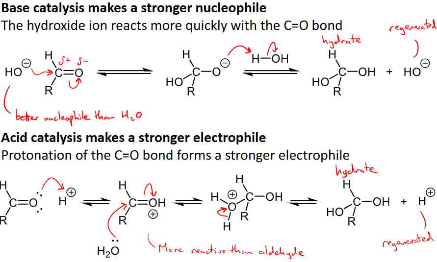 <ul><li><p>base catalysis makes a stronger nucleophile and hydroxide ion reacts quicker with C=O </p></li><li><p>Acid catalysis makes a stronger electrophile through the protonation of C=O </p></li></ul><p></p>