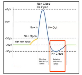 <p>Crossing membrane: active transport</p>