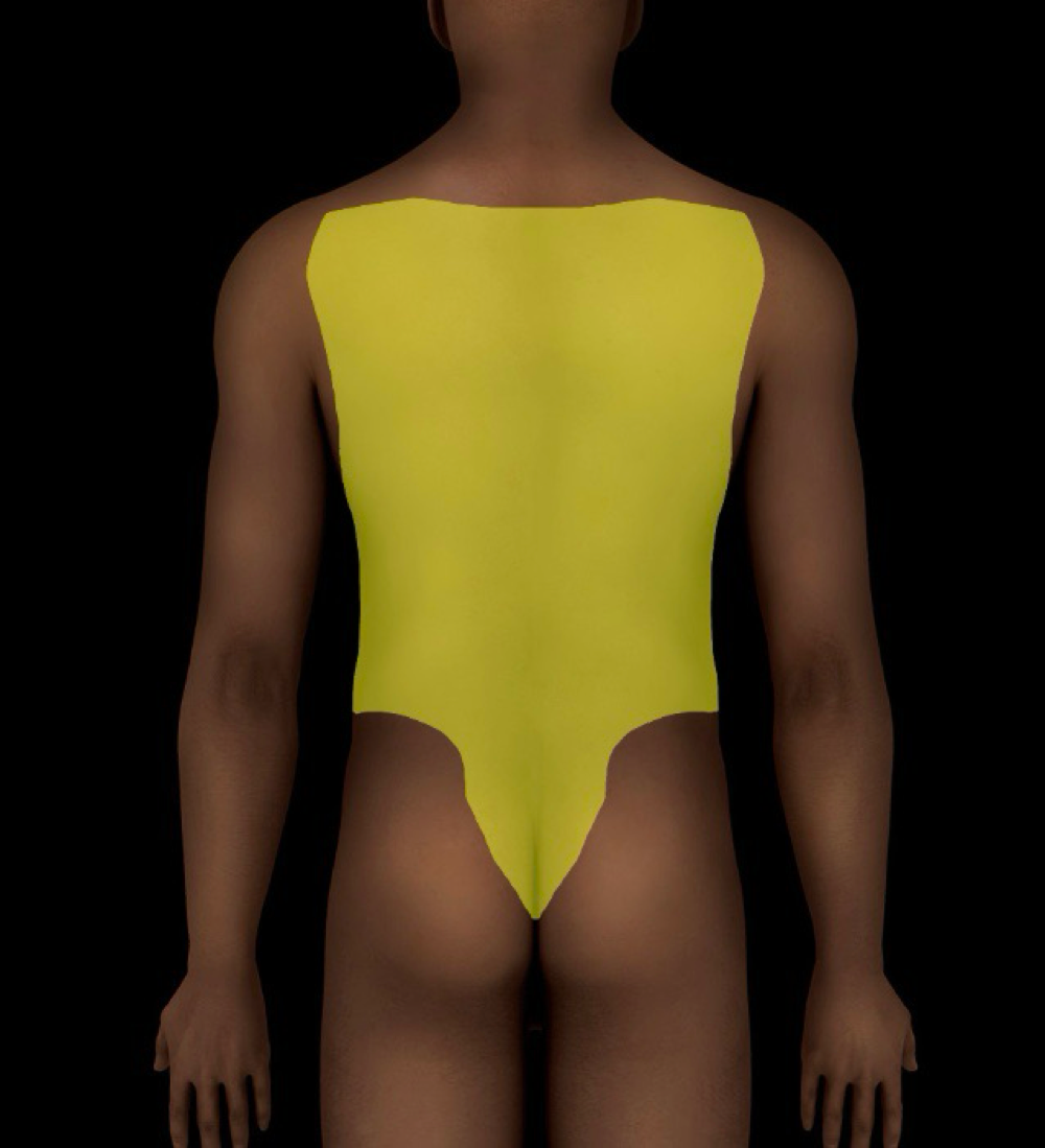 term image