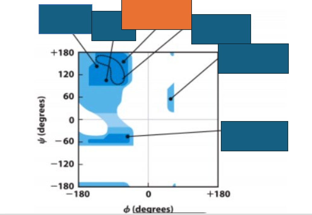 <p>Which conformation does the orange box represent on the Ramachandran map?</p>