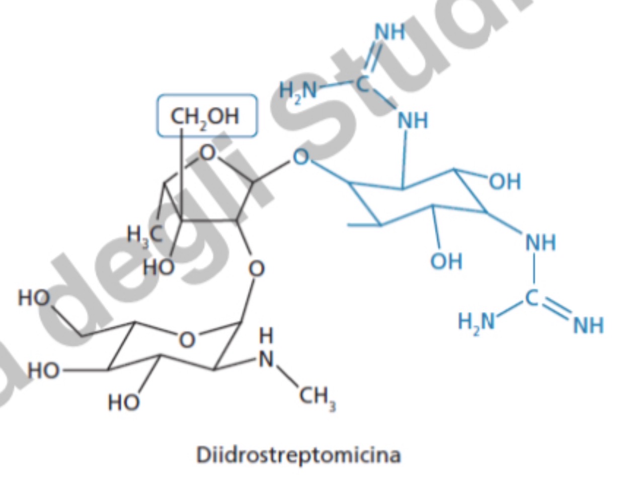 knowt flashcard image