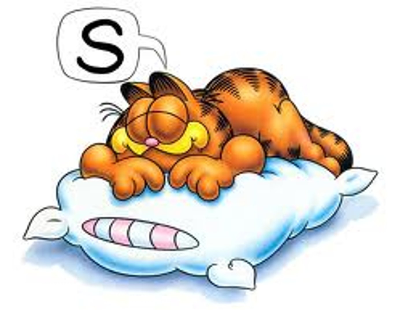 <p>The cat slept.</p>