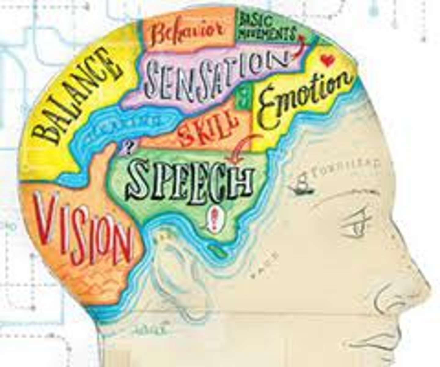 <p>a branch of psychology concerned with the links between biology and behavior.</p>