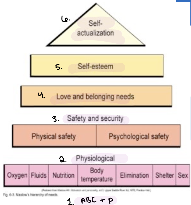 <ul><li><p>establishing priorities </p><ul><li><p>What is the need?</p><ul><li><p>risk vs. actual problem</p></li><li><p>prioritize current issues first</p></li></ul></li><li><p>How urgent is the problem?</p><ul><li><p>check ABC + P then Maslow’s Hierarchy of Needs</p></li></ul></li><li><p>What kind of outcome will it be?</p></li></ul></li></ul><p></p>