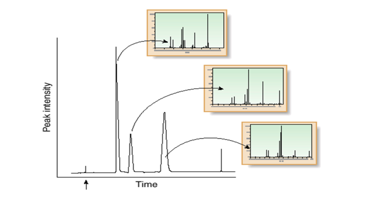 <ul><li><p>chromatog.</p></li><li><p>direct insertion probe <em>(when MM of one X is required)</em>.</p></li></ul><p><em>In GC, ionization of gaseous X is at low pressures. In HPLC and CE,</em></p>