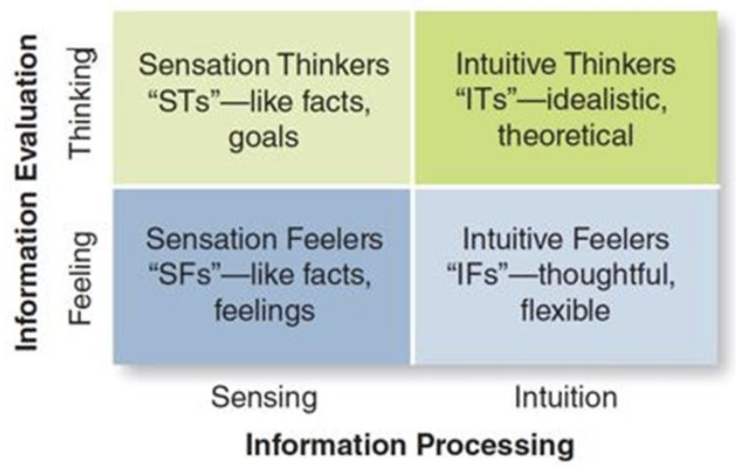 <p>sensation thinkers (ST’s) - like facts and goals</p><p>intuitive thinkers (IT’s) - idealistic, theoretical </p><p>sensation feelers (SF’s) - like facts, feelings</p><p>intuitive feelers (IF’s) - thoughtful, flexible</p>