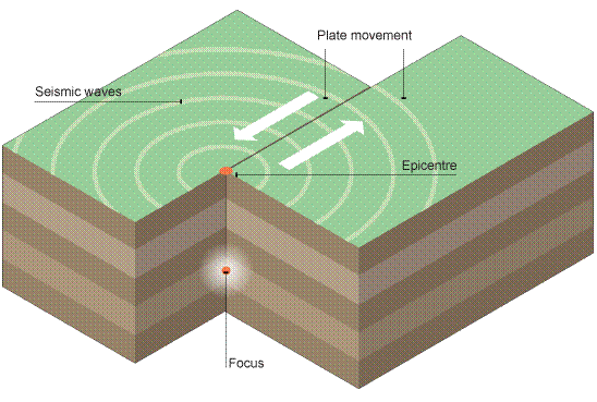 <p><span>a sudden, violent shaking of the ground caused by tectonic plate movements</span></p>
