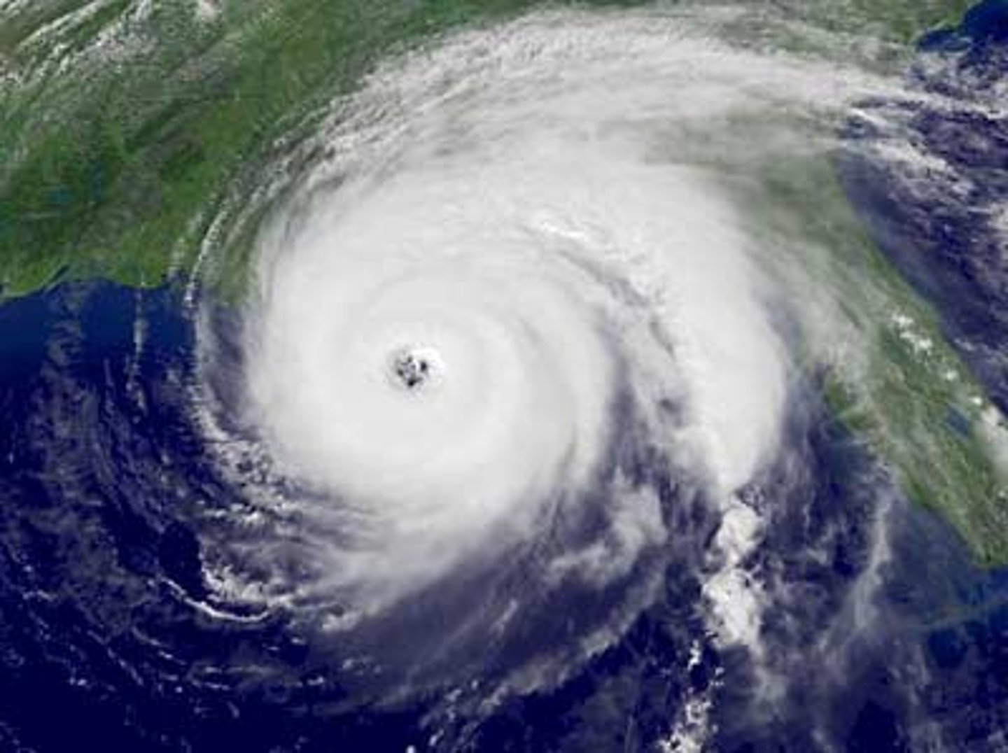 <p>A severe storm that develops over tropical oceans and whose strong winds of more than 120 km/h spiral in toward the intensely low-pressure storm center</p>