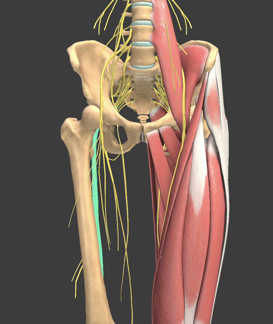 <p>What structure is shown?</p>