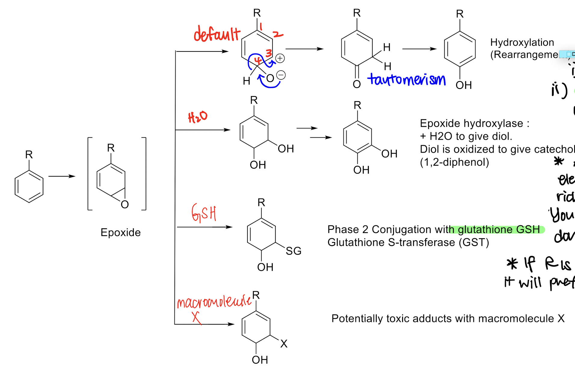 
1. spontaneous reaction with water to form diol 
2. GSH
3. forming adducts