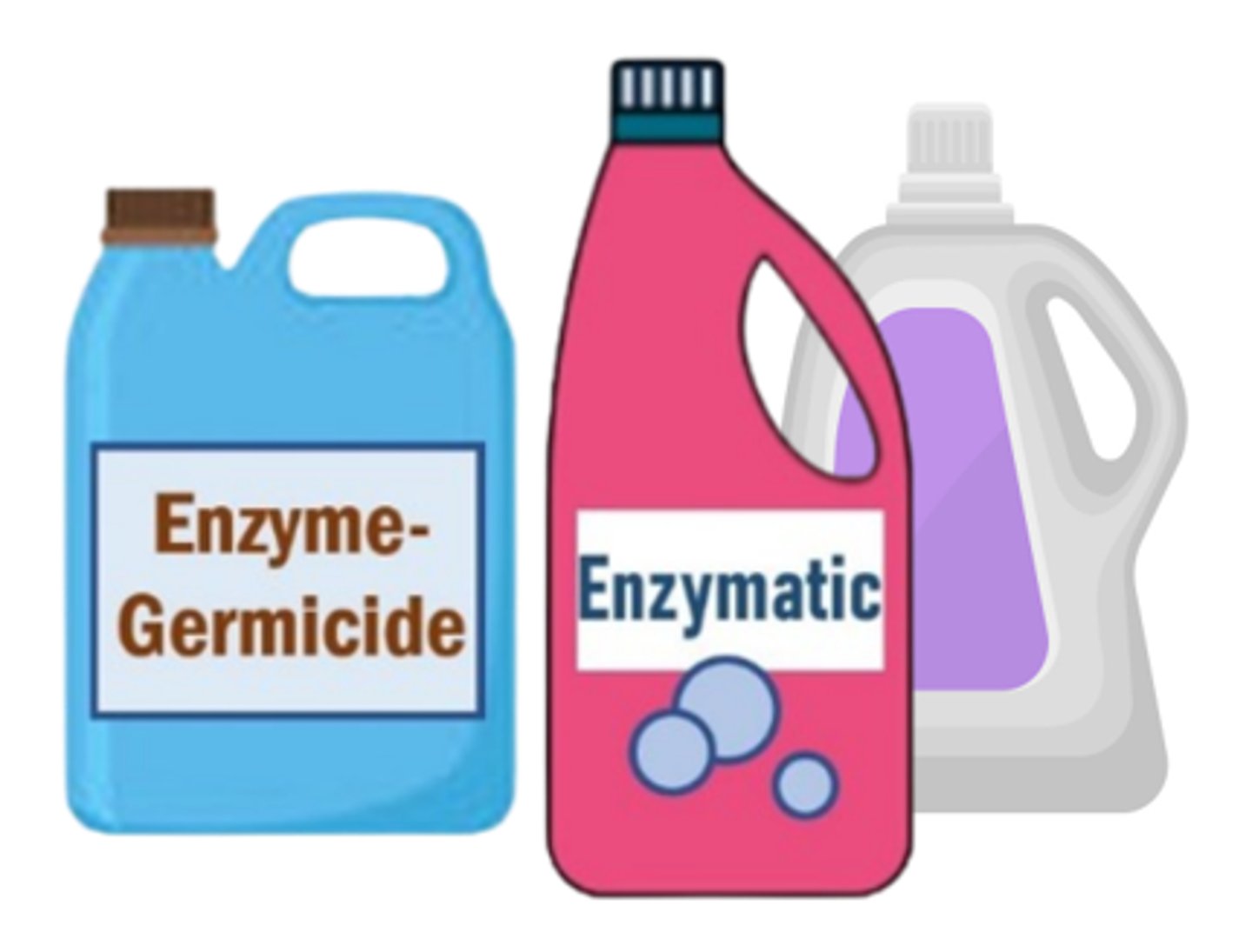 <p>chemicals used in the first step of decontamination (at point-of-use & in the decontamination area); common ones include detergent solutions, enzymatic detergents, & combination enzyme-germicide detergents</p>