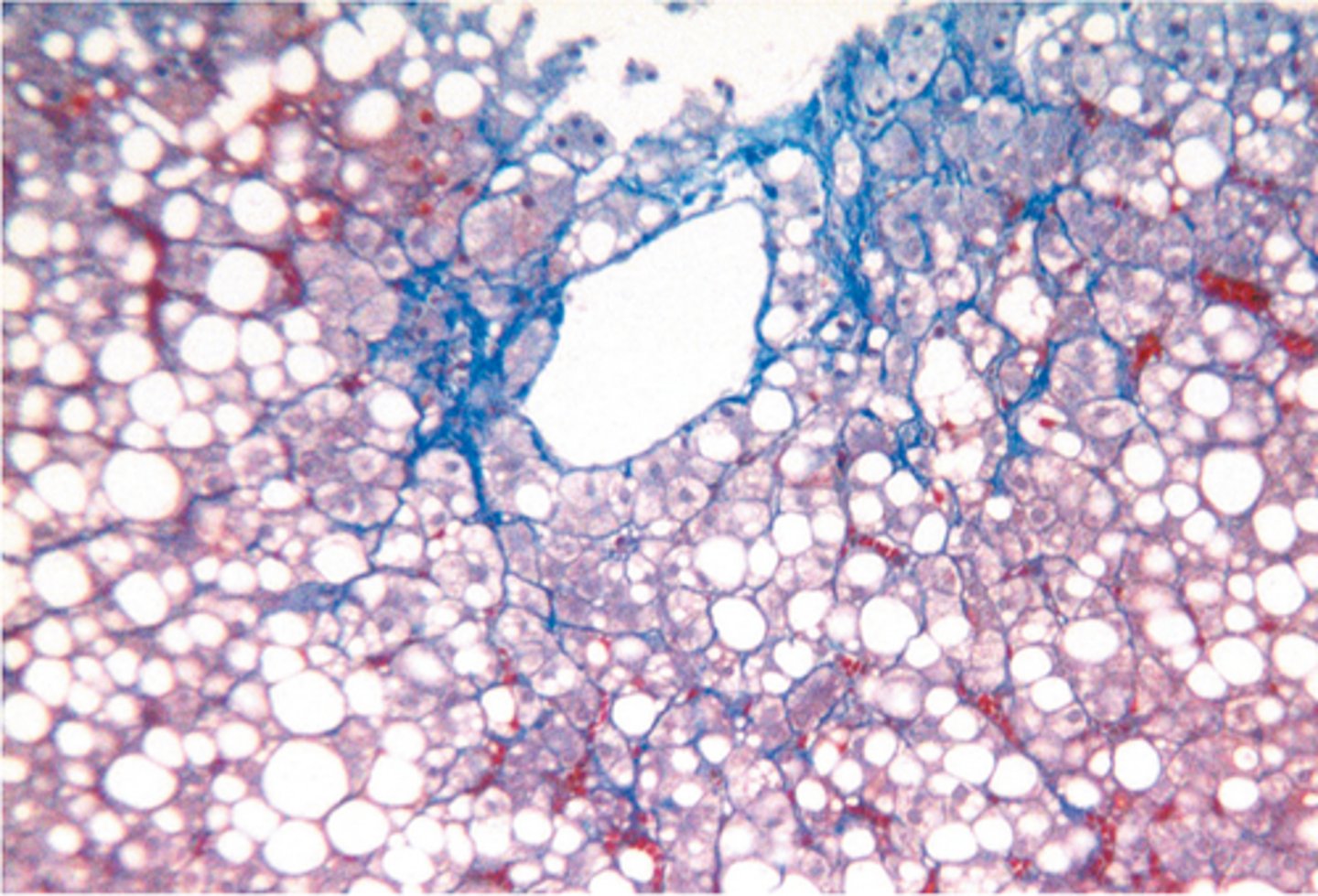 <p>Diagnosis?</p>