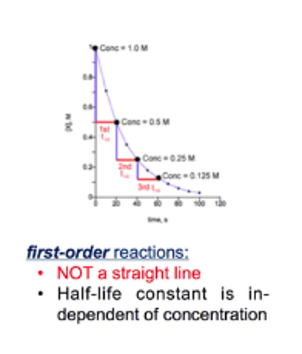 <p>- not a straight line</p><p>- half life constant is independent of concentration</p>