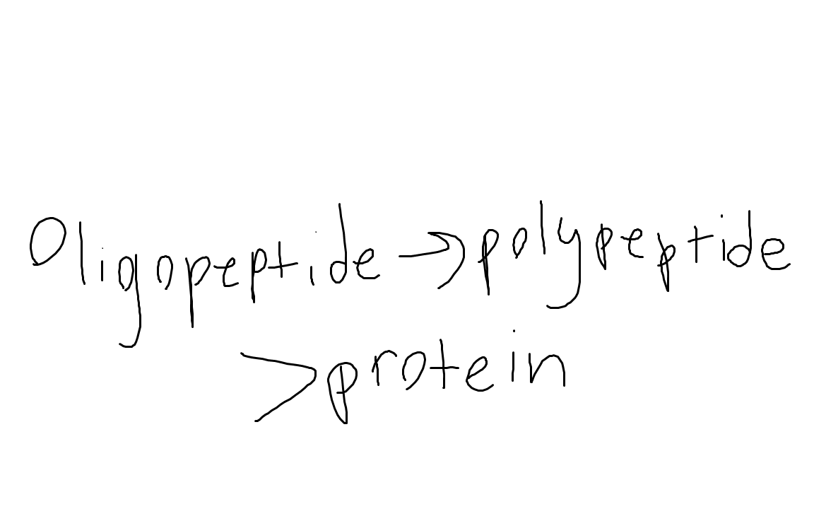 <p>protein!</p>