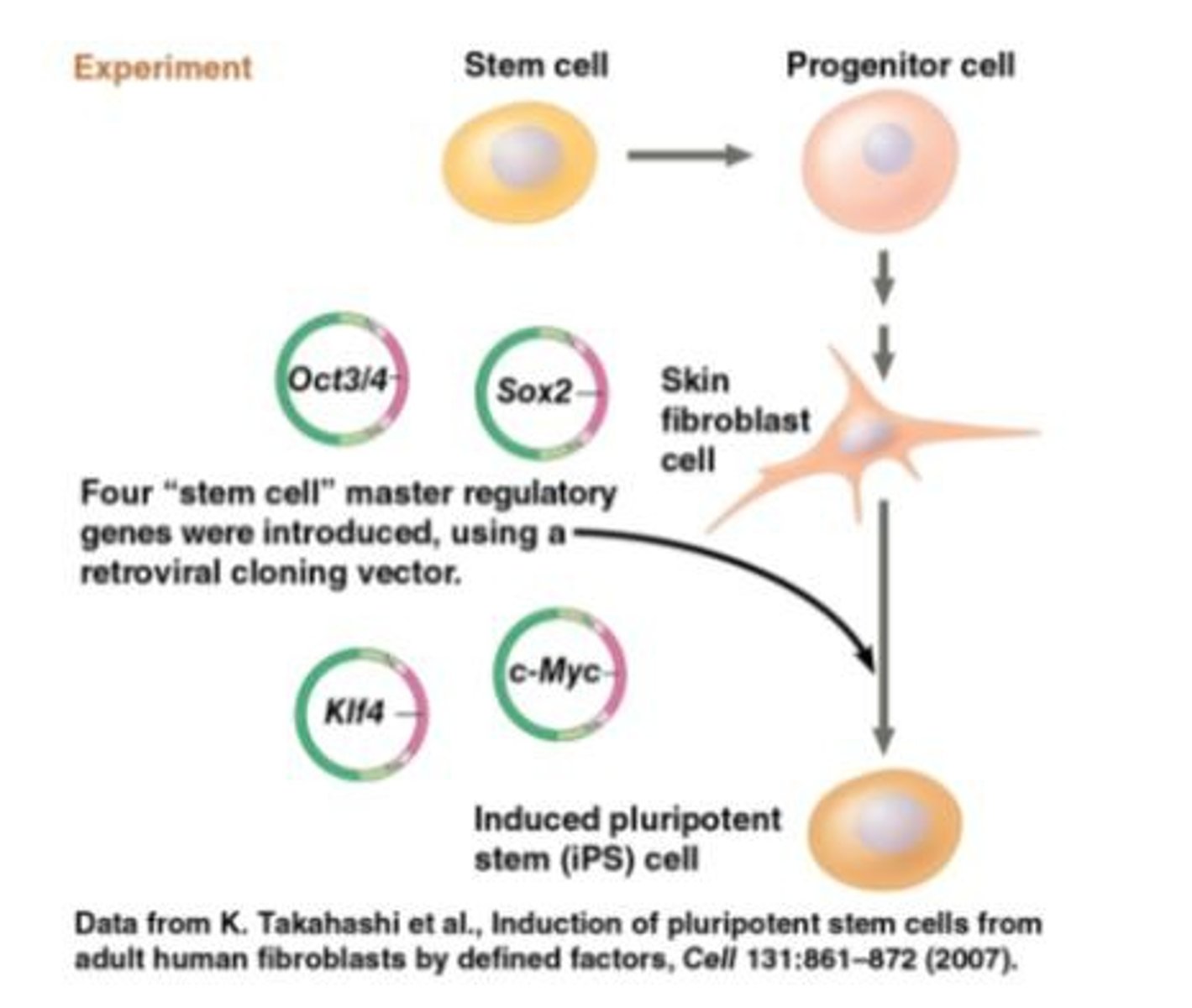 <p>A modern method of DNA sequencing that involves a membrane with a nanopore, where a single DNA strand is pulled through the pore one base at a time, causing unique disruptions in an ionic current that are measured and decoded.</p>