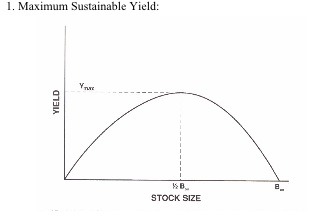 The maximum rate at which a renewable resource can be exploited without impairing its ability to be renewed or replenished