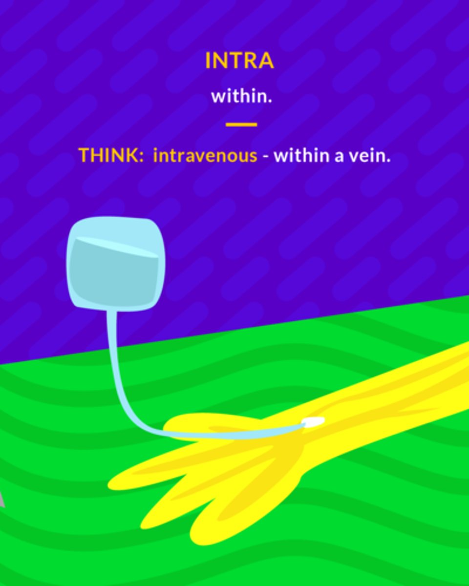 <p>within</p>