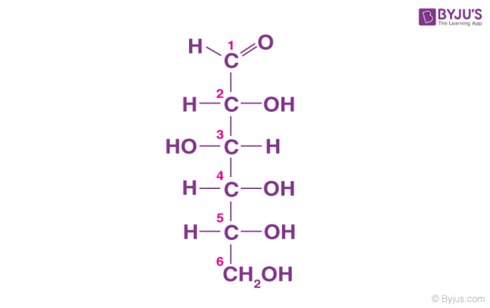 <p>This macromolecule is a <strong>major fuel and building material</strong></p><ul><li><p>Made of sugar monomers strung together</p></li><li><p>Lines, rings, and branches</p></li></ul>