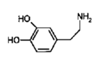 <p>What NT is this?</p>