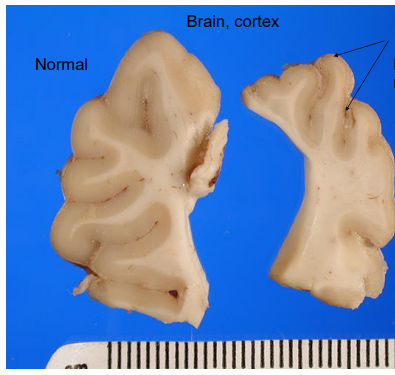 <p>What is this?</p>