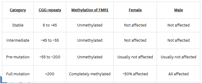 <ul><li><p>most common cause of inherited intellectual disability</p><ul><li><p>Symptoms: physical and behavioral features and delays in speech and language development</p></li></ul></li><li><p><u>Caused by mutation of the FMR1 gene which codes for FMRP (fragile X messenger ribonucleoprotein)</u></p><ul><li><p>FMRP is most actively synthesized in the brain</p></li><li><p>Females are less affected because they have two X chromosomes (and hence 2 copies of the FMR1 gene)</p></li></ul></li></ul><p></p>