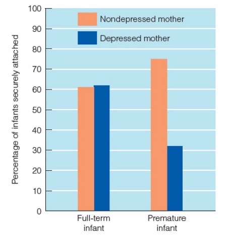 <ol><li><p>Sensitive parenting</p></li><li><p>Intergenerational transfer (grandparents on parents) - modeling + genes</p></li><li><p>Match between child’d needs and environmental support</p></li></ol>