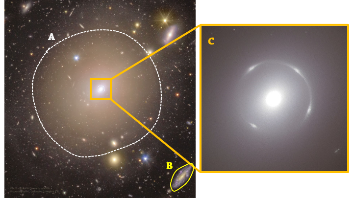 <p><span>This image was recently recorded with the Euclid Space Telescope launched by the European Space Agency (ESA).</span><br><br><span>What type of object is outlined with a solid yellow line (labeled with letter B)?</span></p>